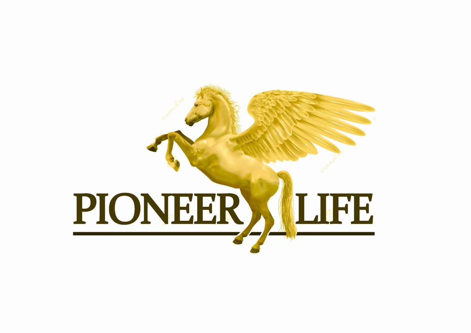 pioneer life.jpg